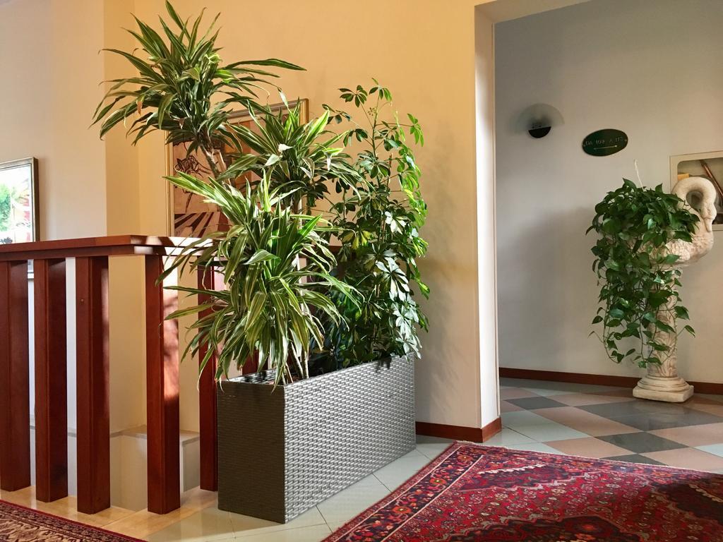 Hotel Rombino フォンテブランダ エクステリア 写真